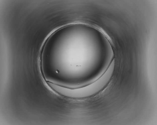 X0000112081100200908041249