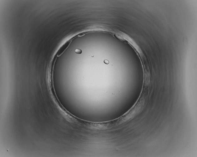 X0000112081101200908041249