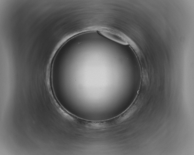 X0000112081102200908041249