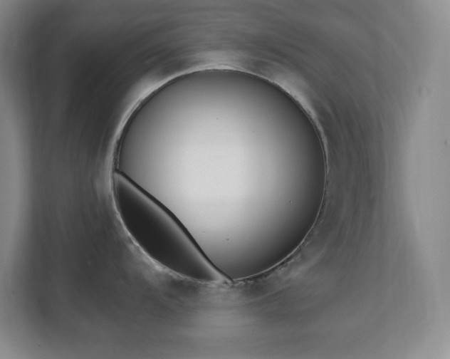 X0000112081104200908041249
