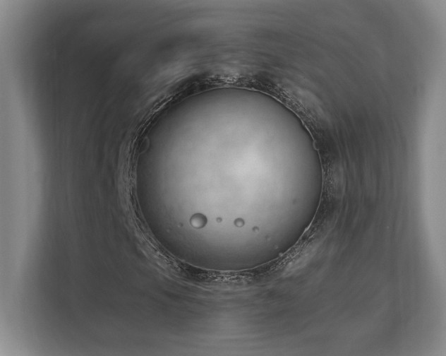 X0000112081105200908041248
