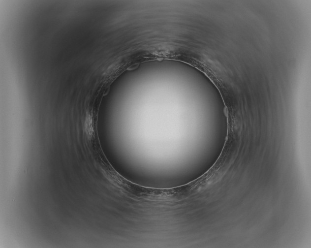 X0000112081106200908041248