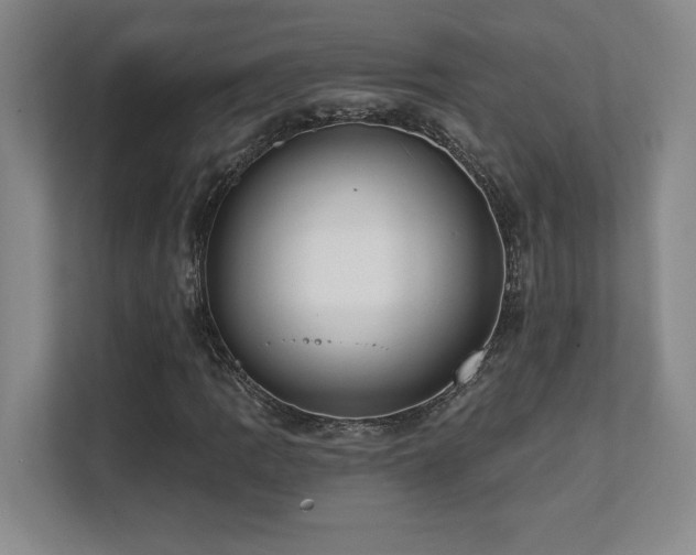 X0000112081109200908041248