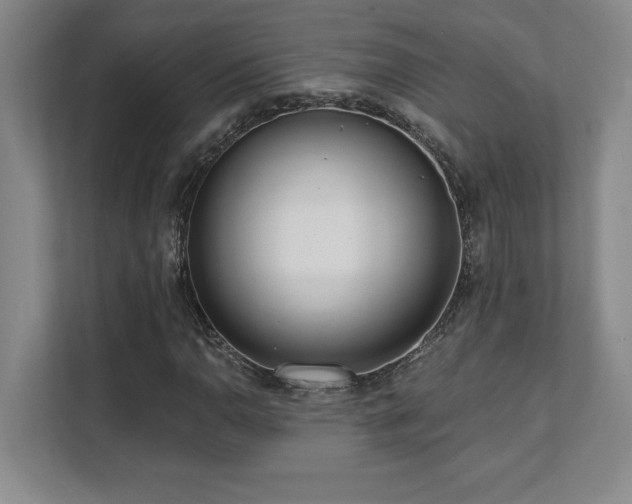 X0000112081110200908041248
