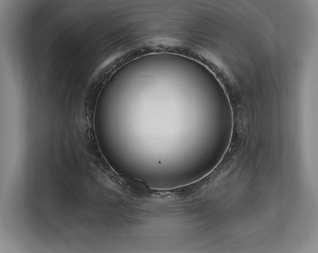 X0000112081112200908041248