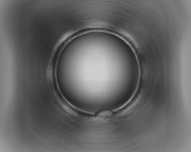 X0000112081114200908041248