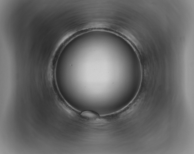 X0000112081119200908041248