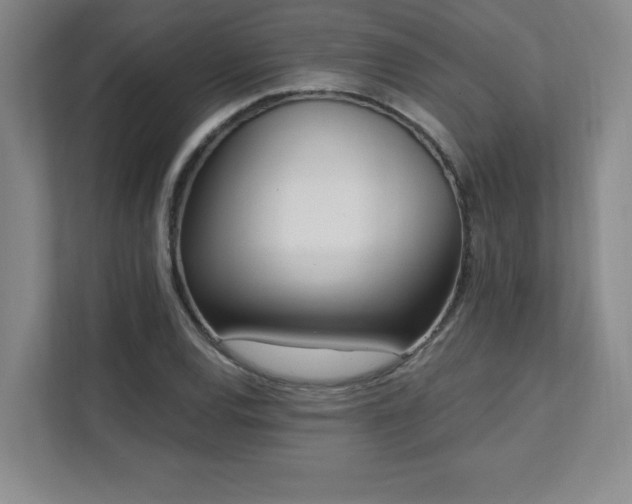 X0000112081120200908041248