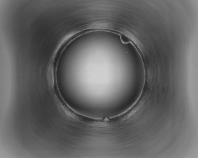 X0000112081123200908041248