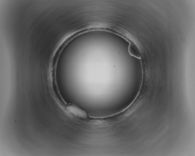 X0000112081124200908041248