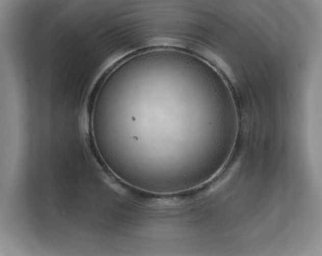 X0000112081125200908041248