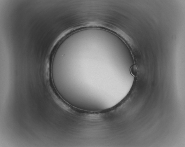X0000112081126200908041248