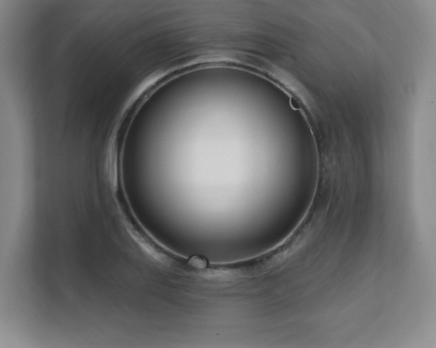 X0000112081127200908041248
