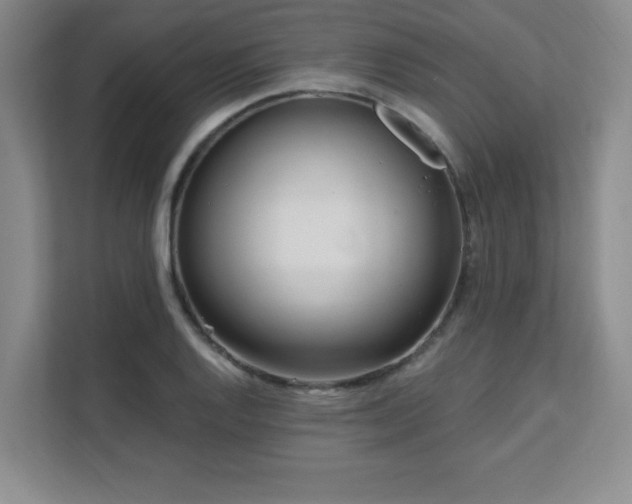 X0000112081128200908041248