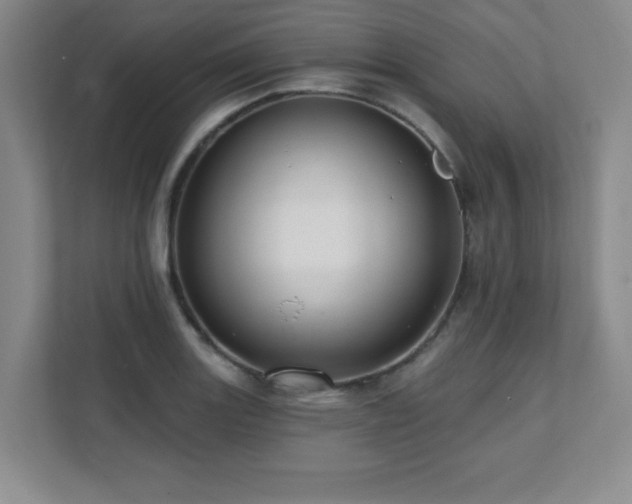 X0000112081131200908041248