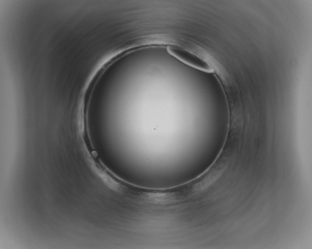 X0000112081132200908041248