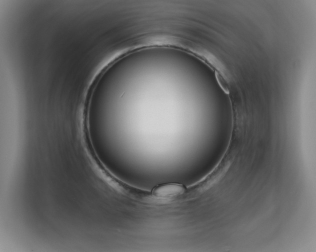 X0000112081134200908041249