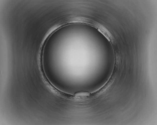 X0000112081138200908041249