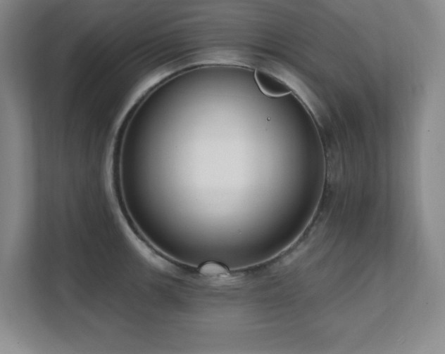 X0000112081139200908041249