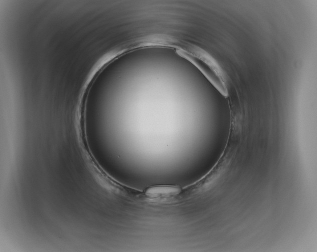 X0000112081146200908041249