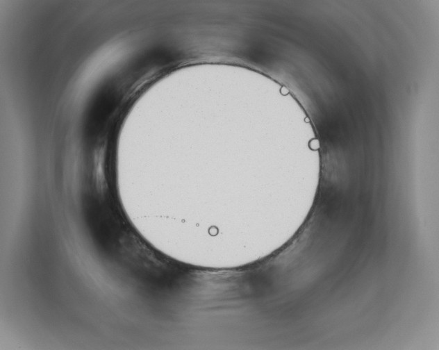 X0000112081150200908041249