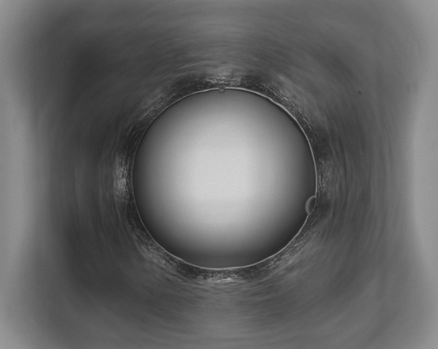 X0000112081154200908041248