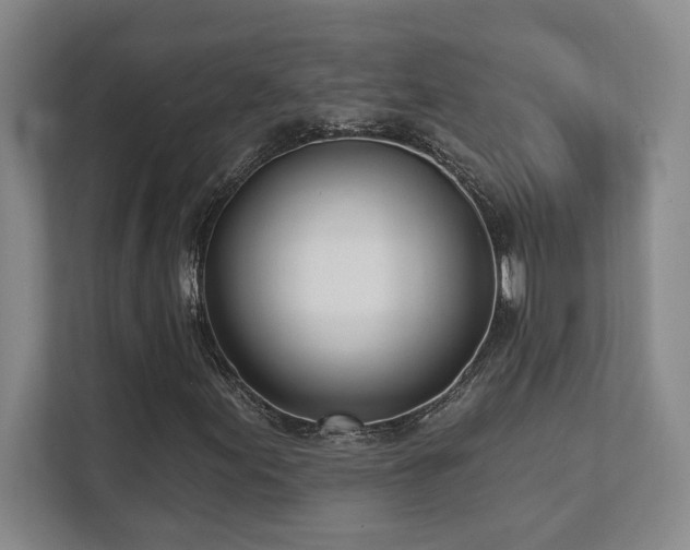 X0000112081155200908041248
