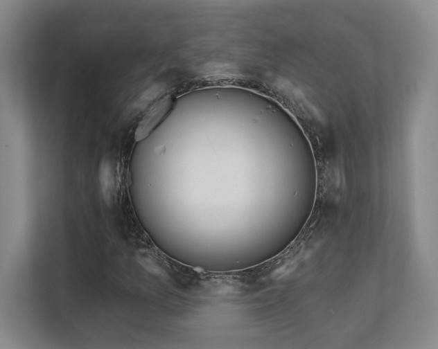 X0000112081157200908041248