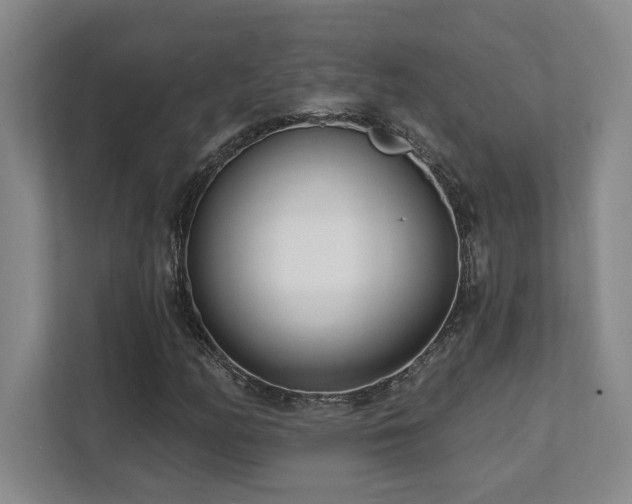X0000112081158200908041248
