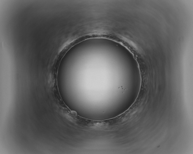 X0000112081160200908041248