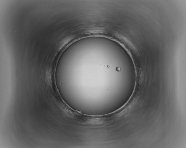 X0000112081162200908041248