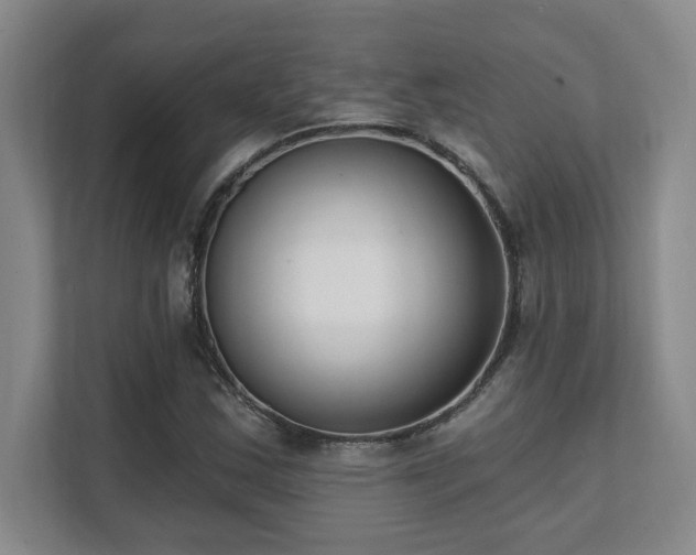 X0000112081163200908041248