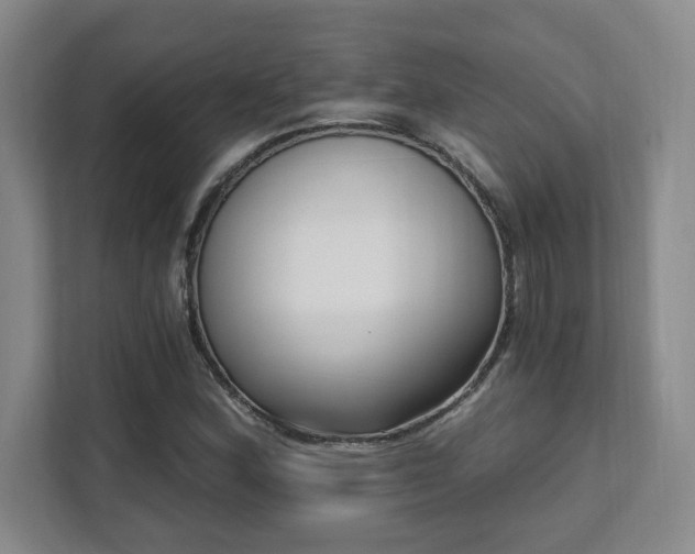 X0000112081164200908041248