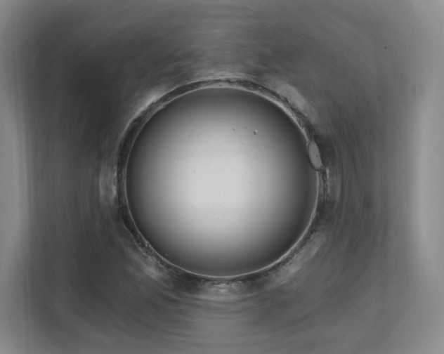 X0000112081165200908041248