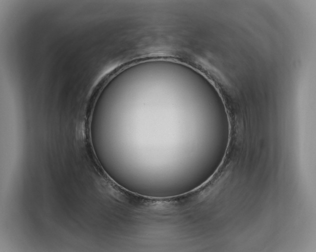 X0000112081166200908041248