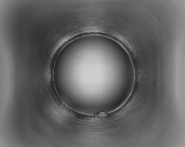 X0000112081167200908041248
