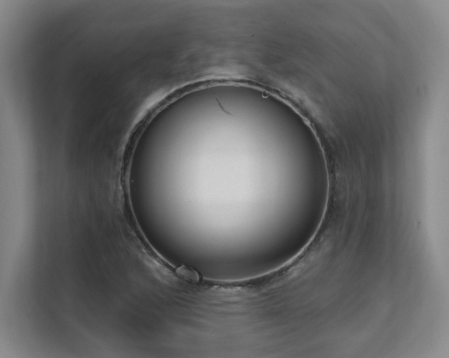 X0000112081168200908041248