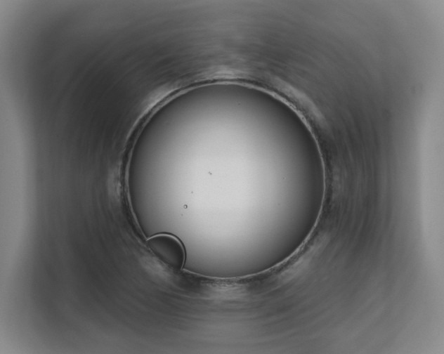 X0000112081170200908041248