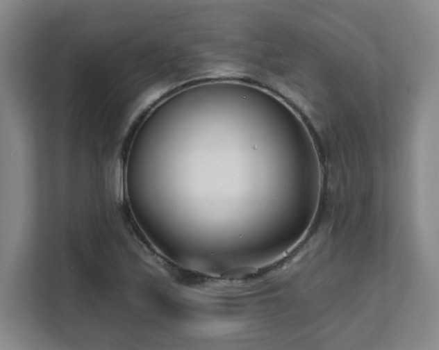 X0000112081171200908041248