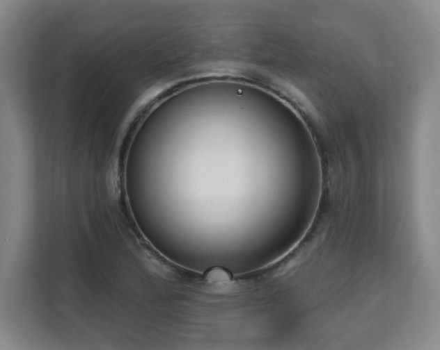 X0000112081172200908041248