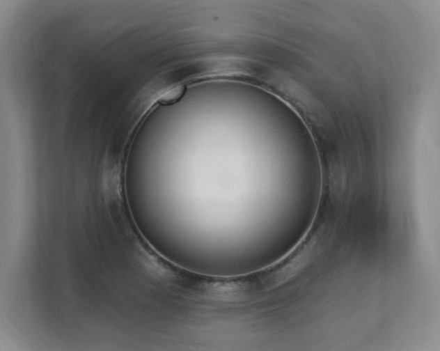 X0000112081177200908041248