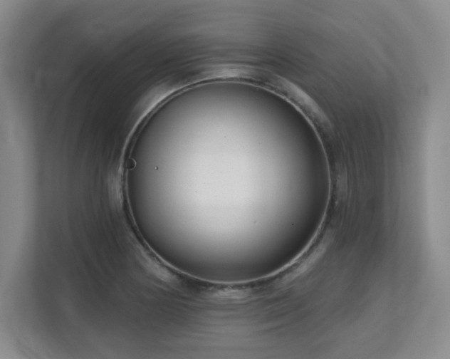 X0000112081178200908041248
