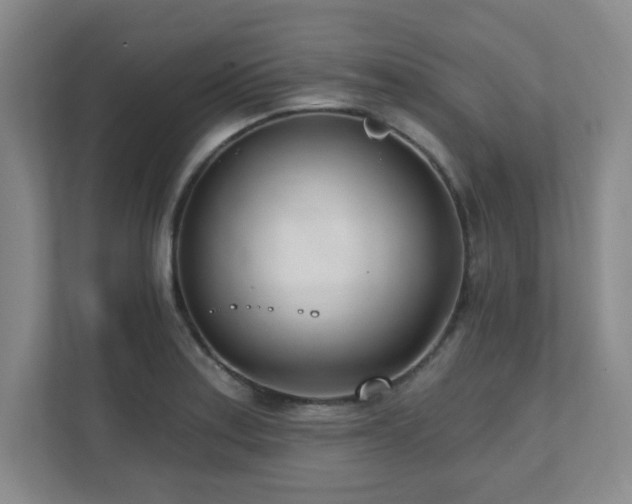 X0000112081179200908041248