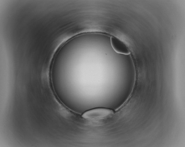 X0000112081181200908041248