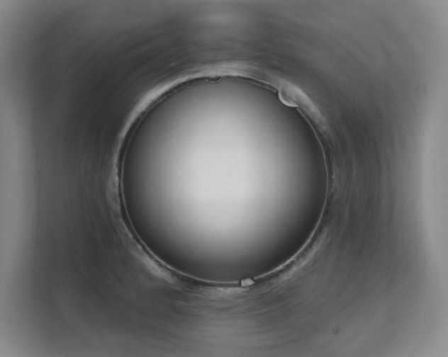 X0000112081184200908041248