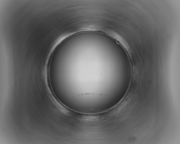 X0000112081187200908041248