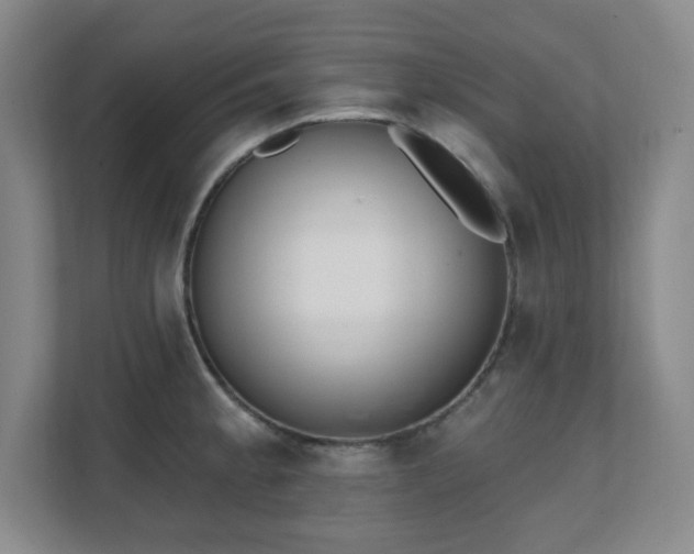 X0000112081189200908041248