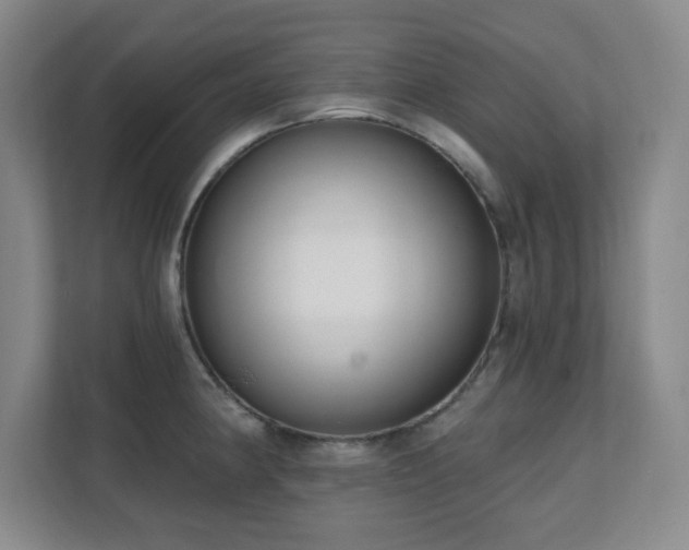 X0000112081190200908041248