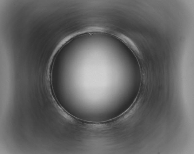 X0000112081192200908041248