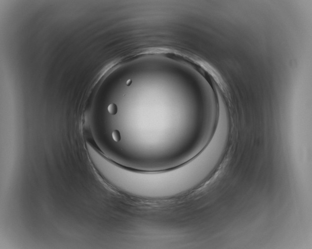 X0000112081193200908041248